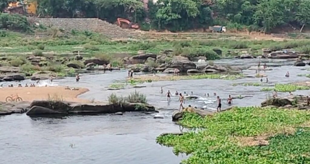 प्राण दायनी स्वर्णरेखा नदी में जलकुंभियों होने के कारण अस्तित्व खतरे में।